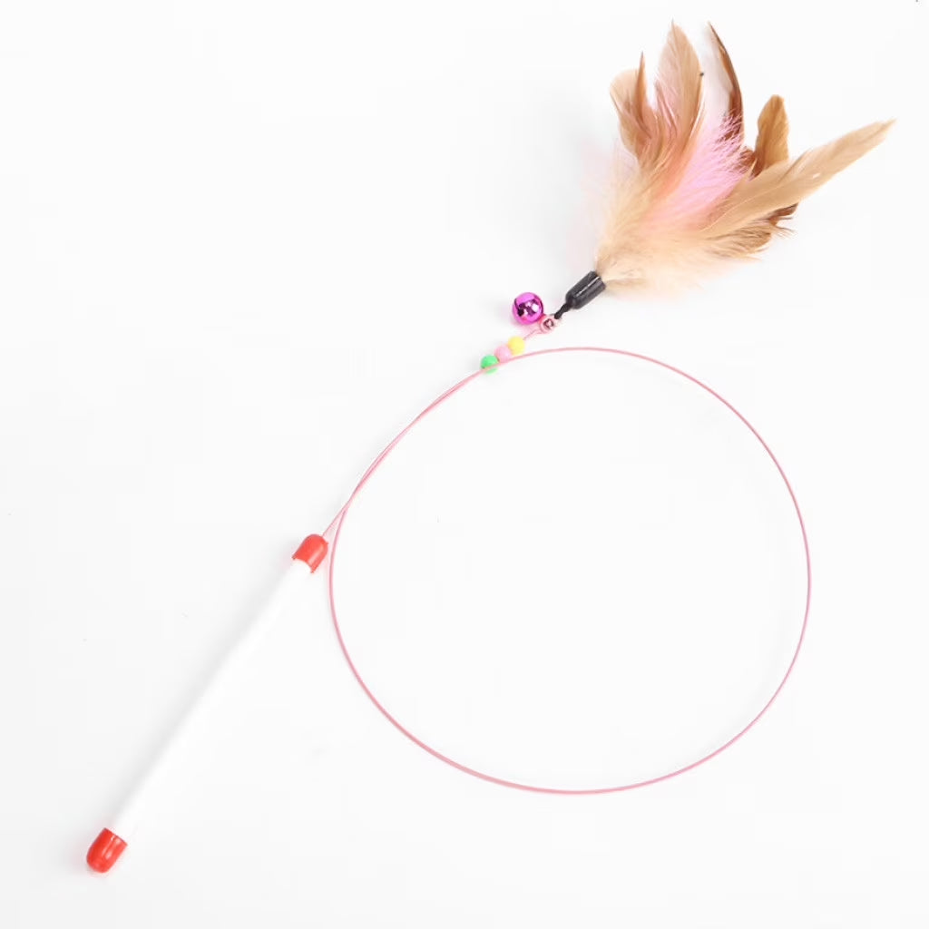Interactive Flirt Pole Toy for Cat,Durable Teaser Wand Flirt Pole Toy to Outdoor Exercise & Training for Kitty,Small Dogs