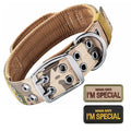 Heavy Duty Double Buckle Design Tactical Dog Collar - Military-Grade Dog Collar with Handle for Medium and Large Dogs