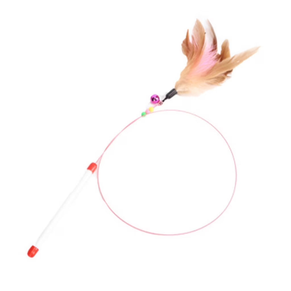Interactive Flirt Pole Toy for Cat,Durable Teaser Wand Flirt Pole Toy to Outdoor Exercise & Training for Kitty,Small Dogs