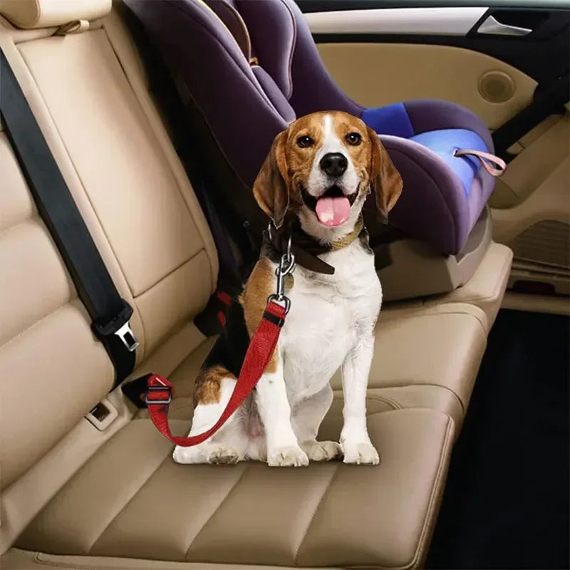 Pet Dog Car Safety Buckle Pet Safety Belt Suitable for Small and Medium Sized Dogs Adjustable Long and Short Pet Out Supplies