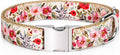 Pet Supplies, (Summer Blooms) Cat Collar, Dog Collar, Cat Leash, Dog Leash, Small Dog Collar, Medium Dog Collar, Large Dog Collar (Pet Collar, L)