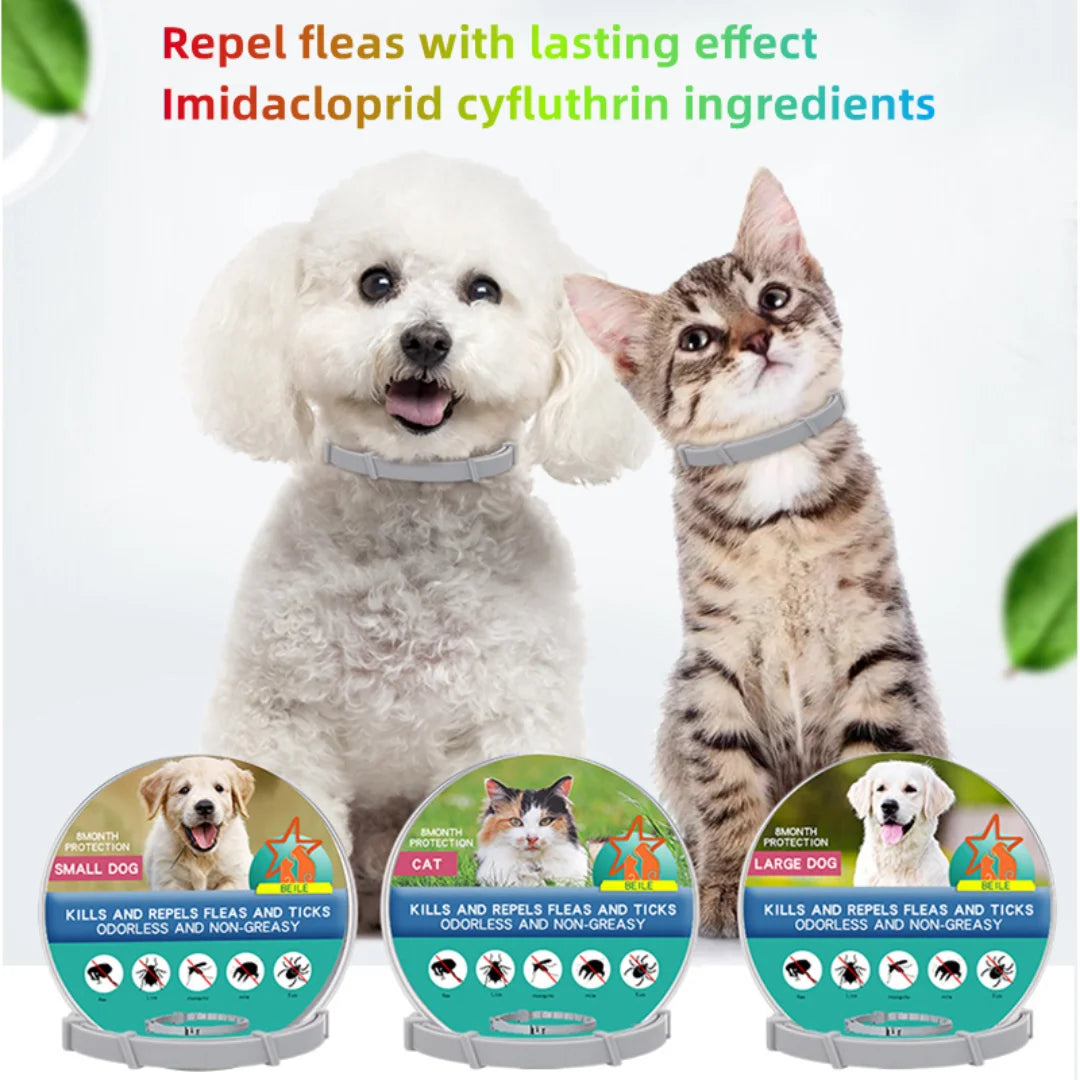 VIP Dog Cats anti Flea and Ticks Pet Collar 8Month Protection Retractable Pet Collars for Puppy Cat Large Dogs Accessories