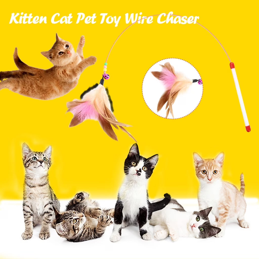 Interactive Flirt Pole Toy for Cat,Durable Teaser Wand Flirt Pole Toy to Outdoor Exercise & Training for Kitty,Small Dogs
