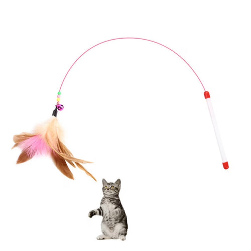Interactive Flirt Pole Toy for Cat,Durable Teaser Wand Flirt Pole Toy to Outdoor Exercise & Training for Kitty,Small Dogs